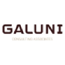 galuni-consulting.com