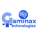 gaminax.com