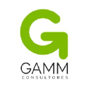 gammconsultores.com