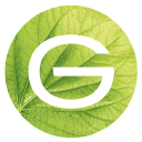 GG  Avatar