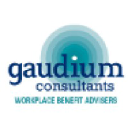 gaudium-consultants.co.uk
