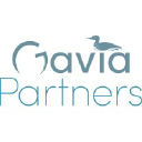gaviapartners.com