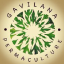 gavilana.com
