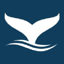 Somatic Finance