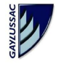 gaylussac.com.br