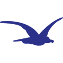 Gala Event Volunteer Opportunity Image