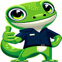 Gecko Green Pest Solutions