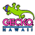 Gecko Hawaii