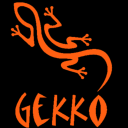 gekkoteam.com