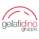 gelatidinogruppo.com