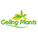 geling-plants.nl