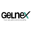 gelnex.com