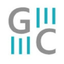 geminicapital-global.com