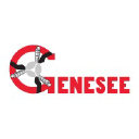 geneseemfg.com