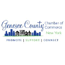 Genesee/orleans council on alcoholism & substance abuse