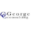 georgeconsulting.com