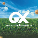 germinex.com.br