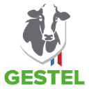gestelsa.com