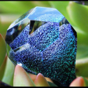 Gorilla Glass