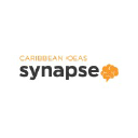 Caribbean Ideas Synapse in Elioplus