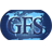 gfsimport-export.com Logo