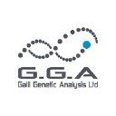 gga.org.il