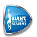 giantbasketball.com