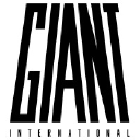 giantinter.com