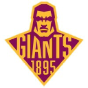 giantsrl.com