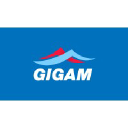 gigamgroup.com