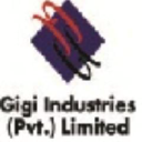 gigi.com.pk