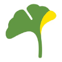 ginkgo active (ginkgo health inc