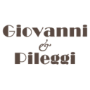 giovannipileggi.com