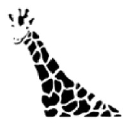 giraffeinternational.eu