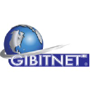 Gitronic-Services logo