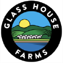 glasshousegroup.com
