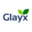 glayx.com