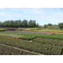 glendale-horticulture.co.uk