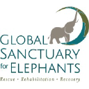 globalelephants.org