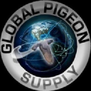 globalpigeonsupply.com