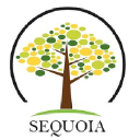 globalsequoia