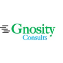 gnosityconsults.com