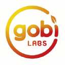 Gobi Labs