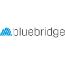 gobluebridge.com