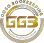 GoGo Bookkeeping LLC logo