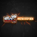 GoKarts USA® logo