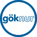 goknur.com.tr