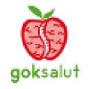 goksalut.com