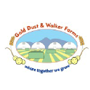 Gold Dust Inc