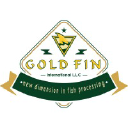 goldfinllc.com